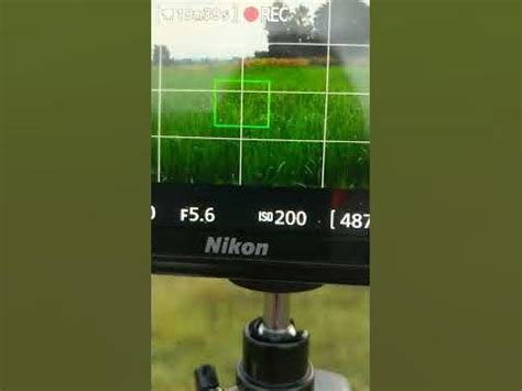 nikon d3500 live view mode